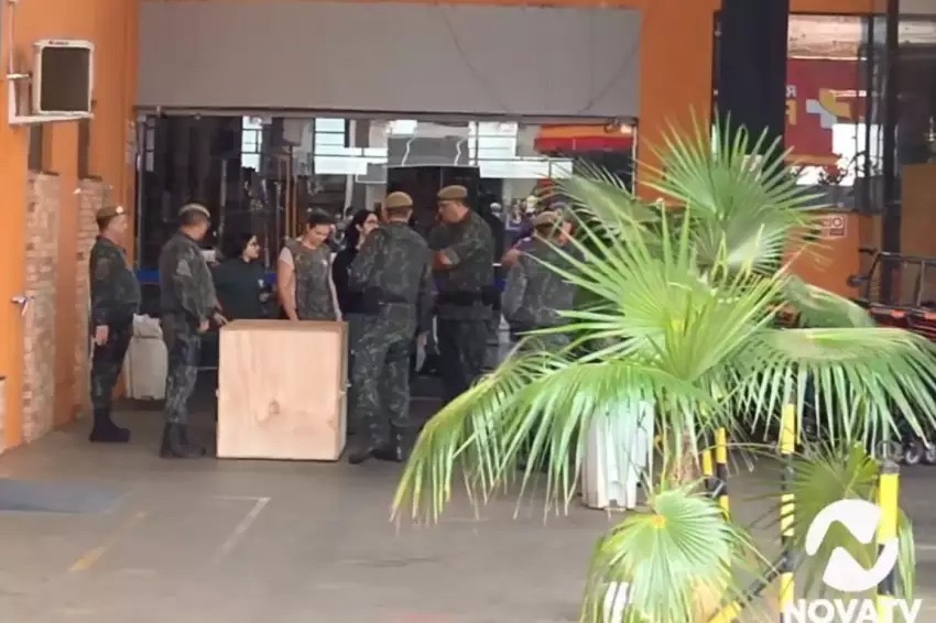 Cafelândia: Onça-parda é capturada em supermercado