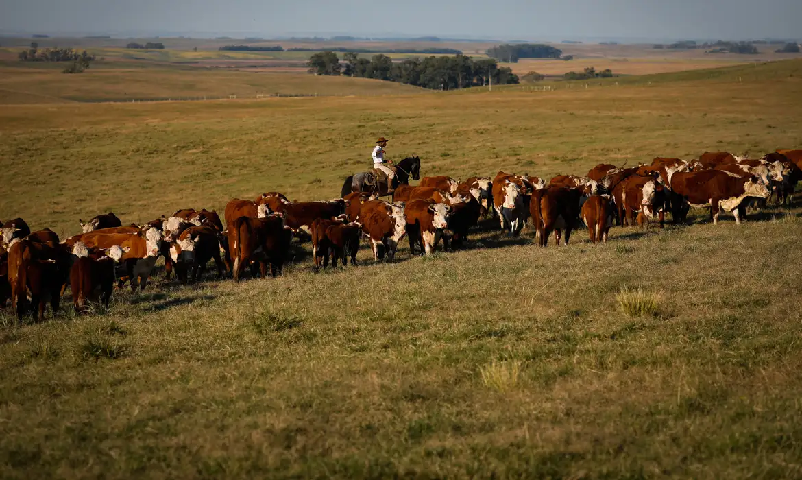 União Europeia restringe importação de carnes, peixe e mel do Brasil